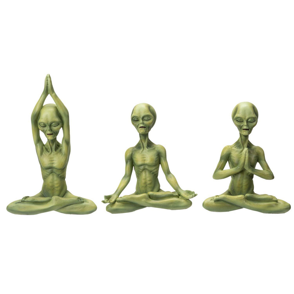 Alien Yoga Set – Sunbeam General Store