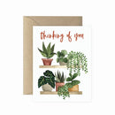 Thinking of You Plant Shelf Greeting Card