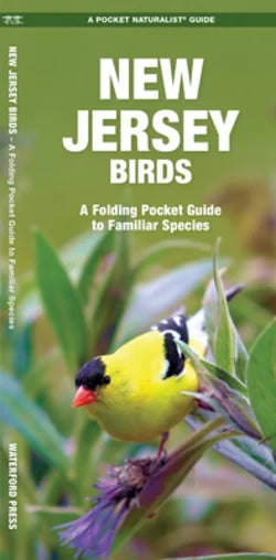 New Jersey Birds Pocket guide