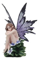 Periwinkle Fairy