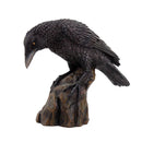 Raven Statue