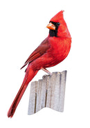 I Am Cardinal