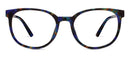 Creekside - Cobalt Tortoise Readers
