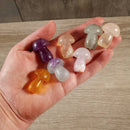 Fluorite Mushroom Carving - 1.25 Inch