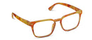 Jude- Amber Tortoise