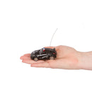 RC Police Mini Racer - Black & White
