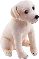 Rescue Yellow Labrador