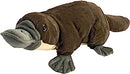 Cuddlekins Platypus