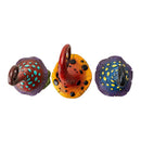 Magic Toadstool Mushrooms