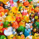 Assorted Rubber Duck