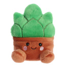 Gigi Succulent - Palm Pal