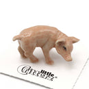 Little Critterz Figurines