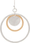 Two Tone Center Disc Circles Earring