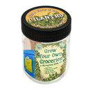 Grow your own Cilantro