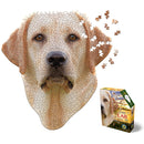 I Am Lab 550 Piece Puzzle