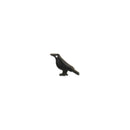 Raven Fine Art Post Earrings