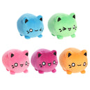 3.5" Meowchi Surprise Plush