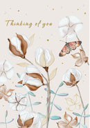 Thinking of You Moths & Cotton Greeting Cards
