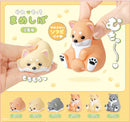 Shiba Dog Blind Box