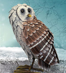 Barn Owl Standing