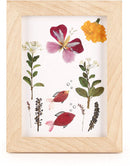 Huckleberry Make Your Own Pressed Flower Frame Art