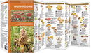 Mushroom Pocket Guide