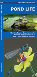 Pond Life Pocket Guide