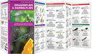 Dragonflies And Damselflies Pocket Guide
