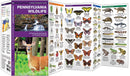 PA Wildlife Pocket Guide