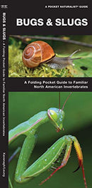 Bugs And Slugs Pocket Guide