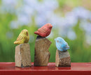 Mini Birds on Rocks