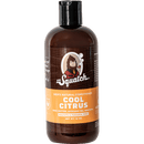 Men's Daily Cool Citrus Conditioner