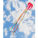 Octopus Kites