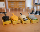 Racing Cats in Boxes