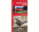 Pennsylvania Birds Pocket Guide