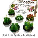 Succulent Tealights