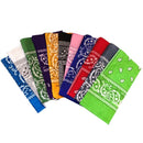 Bandanas Assorted Colors