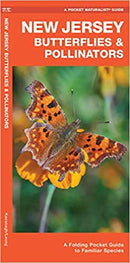 New Jersey Butterflies and Pollinators