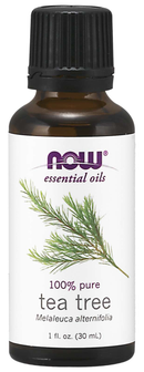 Now Essential Oils Tea Tree Essential Oil