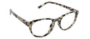 Canyon Gray Tortoise Peepers