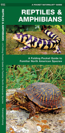 Reptiles And Amphibians Pocket Guide