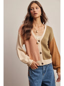 Color Block Knit Cardigan- Olive Multi