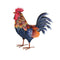 Arroyo Rooster Decor MD