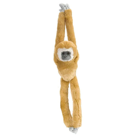 Hanging Lar Gibbon