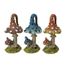 Magic Mushrooms