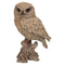 Trumpet Owl -Driftwood Look
