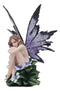 Periwinkle Fairy