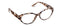 Sloane Gray Tortoise Peepers