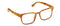 Jude- Amber Tortoise