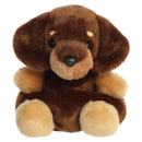 5" Houdini Dachshund Palm Pals